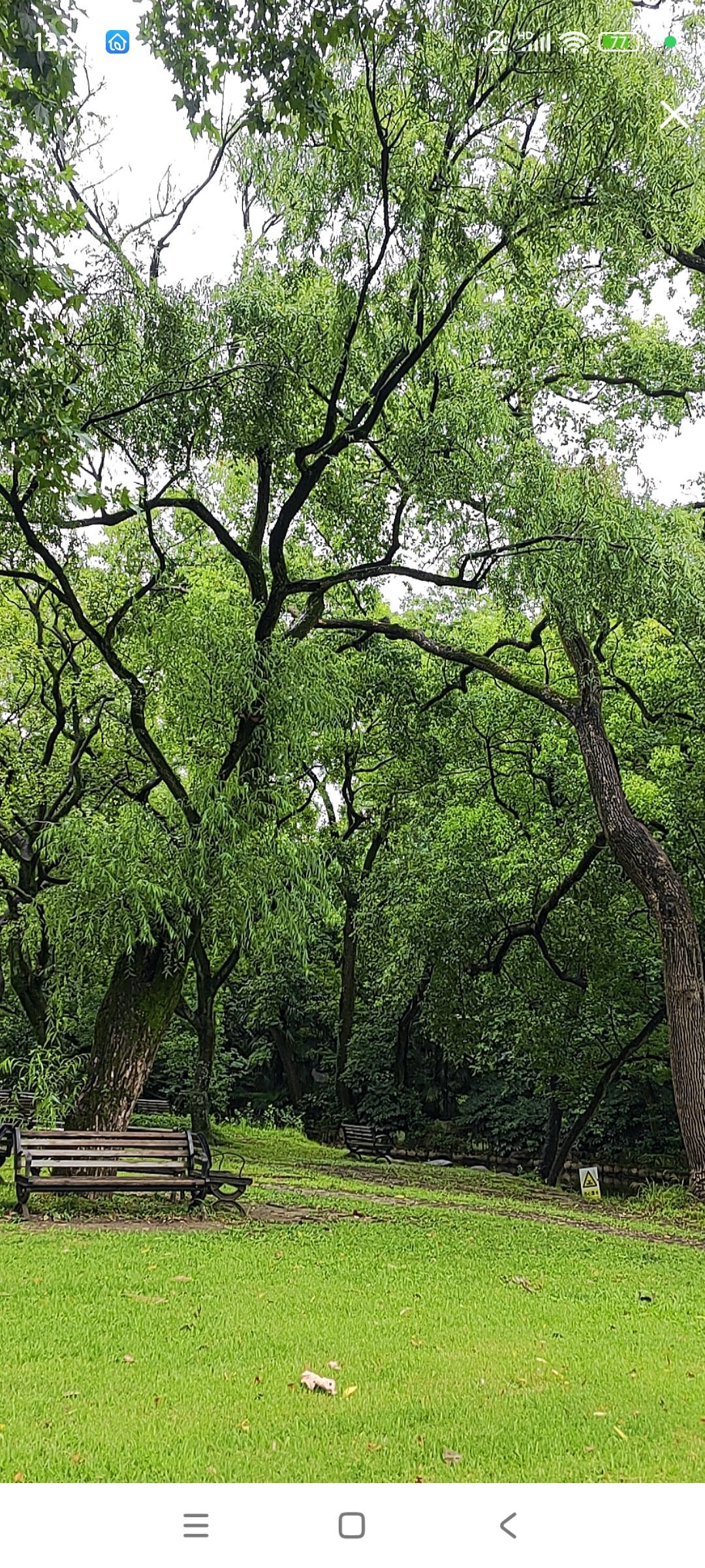 婷婷💕感恩有你陪伴的图片