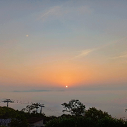 123456只猫海报