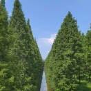 田作全