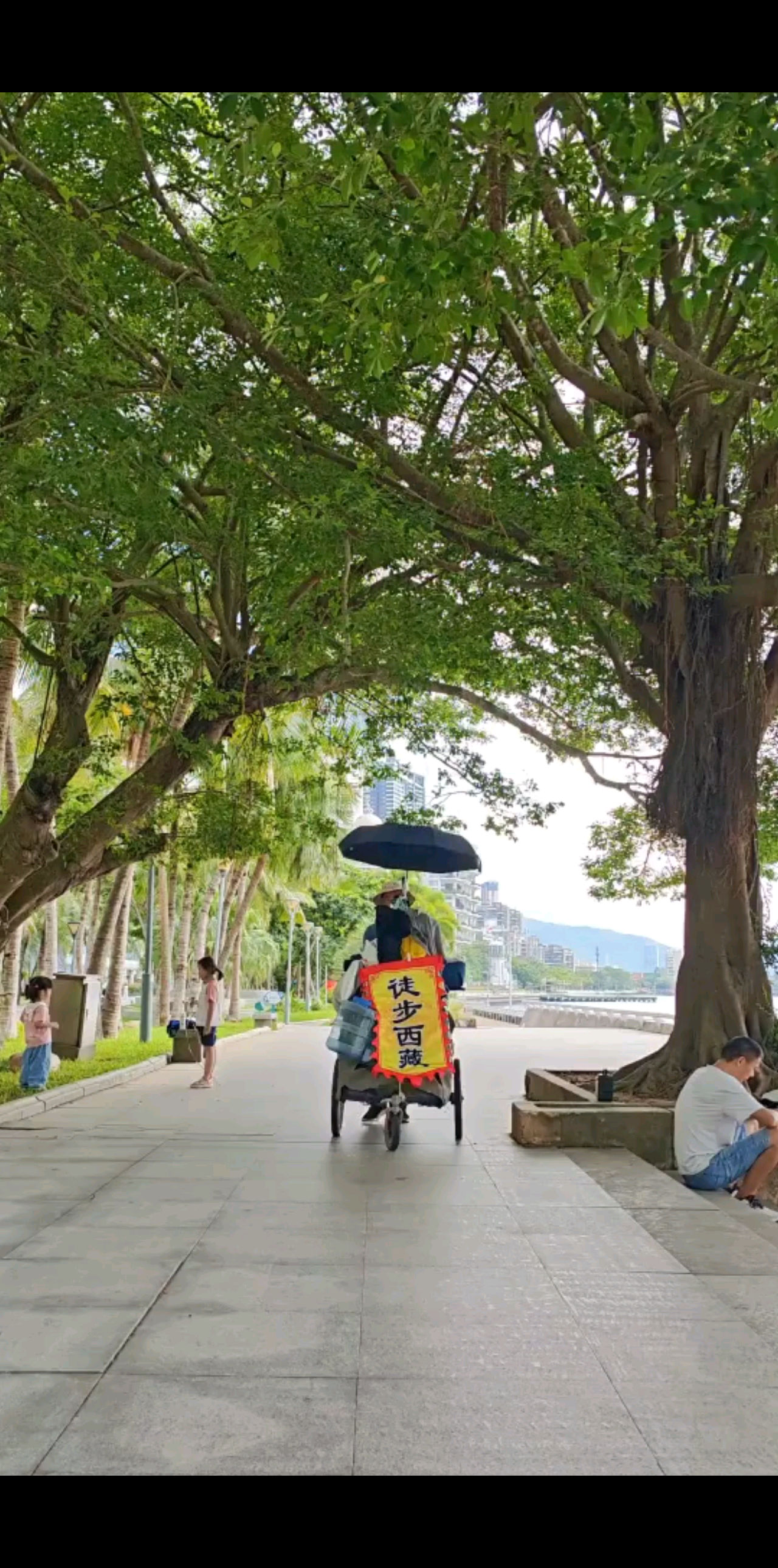 青春易逝