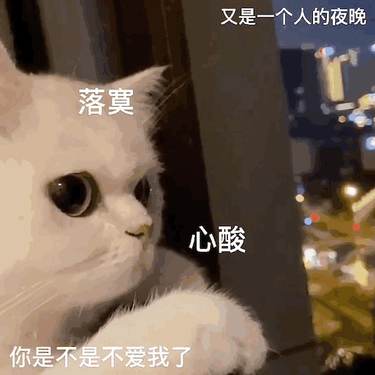 青杉想升冠🎙的图片