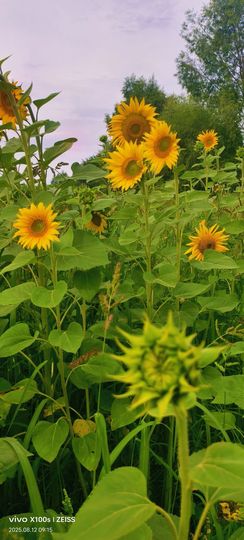 妞妞骑行宁夏银川主播照片