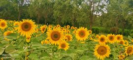 妞妞骑行宁夏银川主播照片