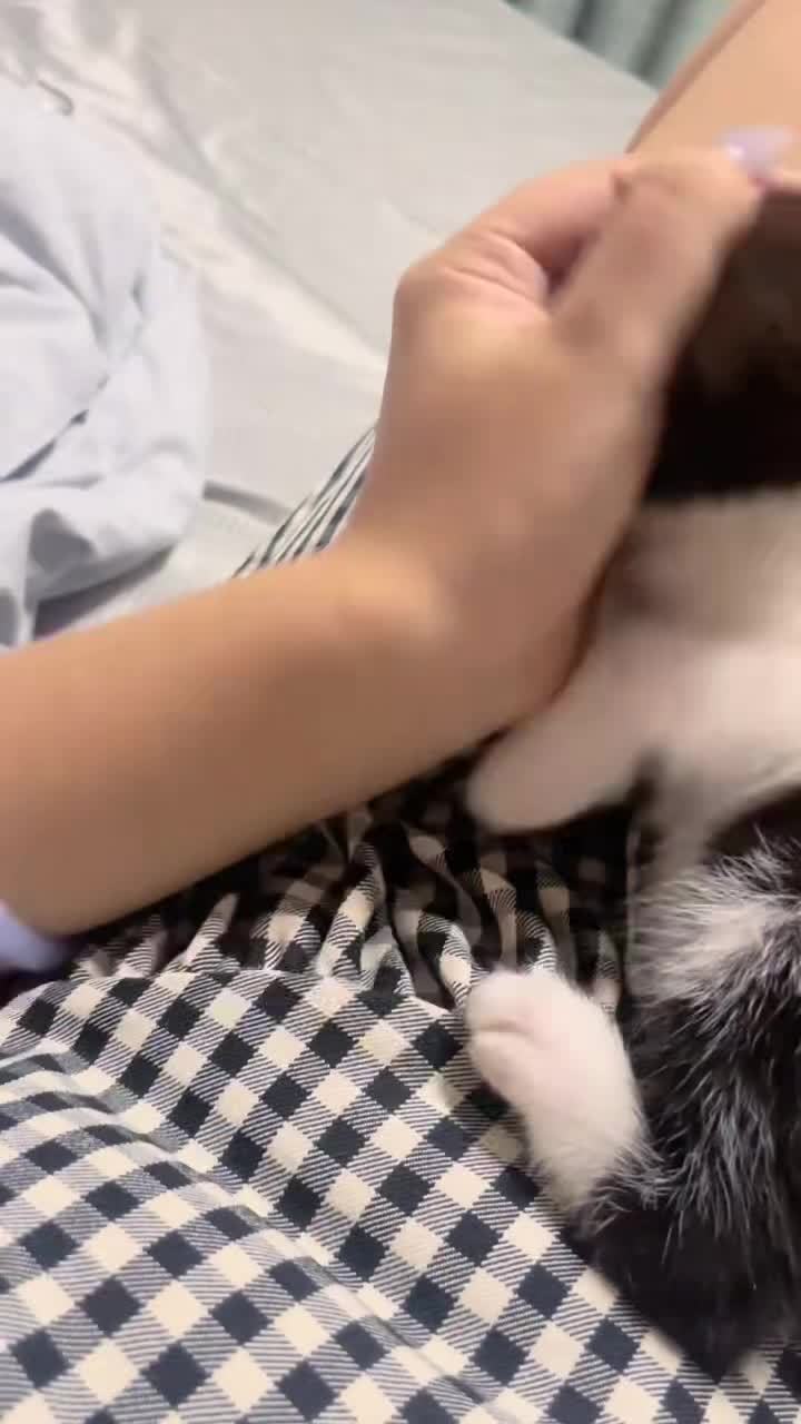 萌化了我