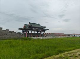 野百合饿晕了🌱🌱主播照片