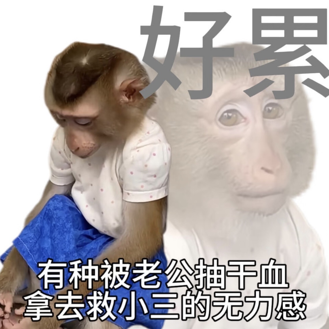 琳妹妹～💕主播图片