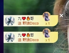 许华峰（努力版）主播图片