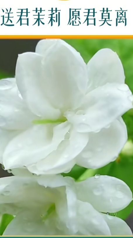 爱笑🌺幸福甜蜜蜜的图片