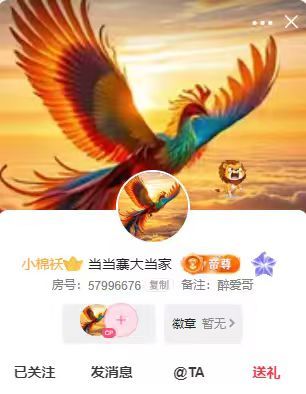 南北🎤主播图片