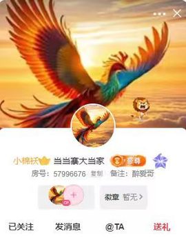 南北是个小太阳🎤主播照片