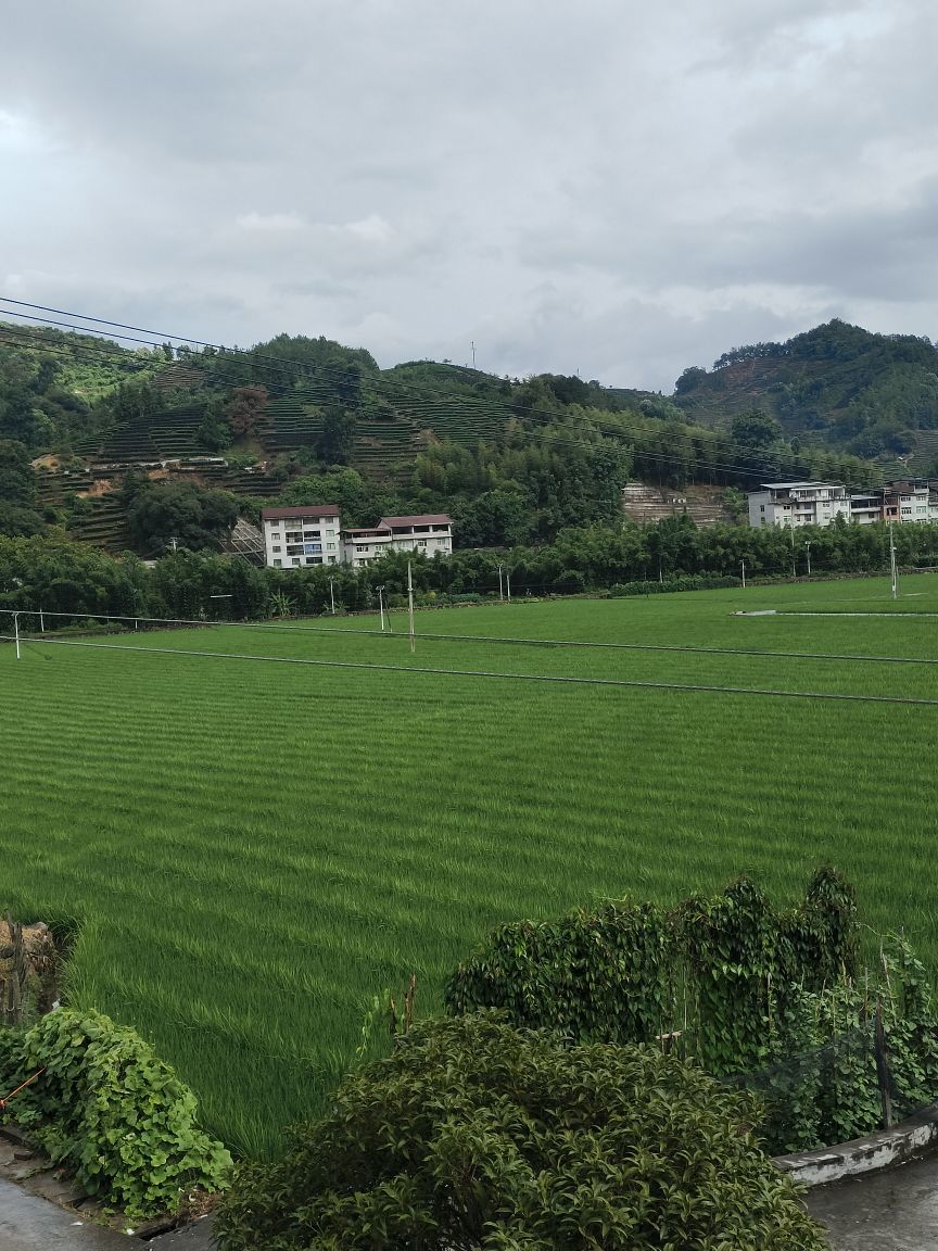玟玟🌸加油主播图片