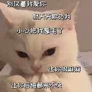 ！瞪谁谁怀孕！