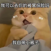 出家🉐肥猫