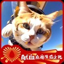 云深不知初相遇