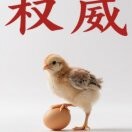 蒋宗翰