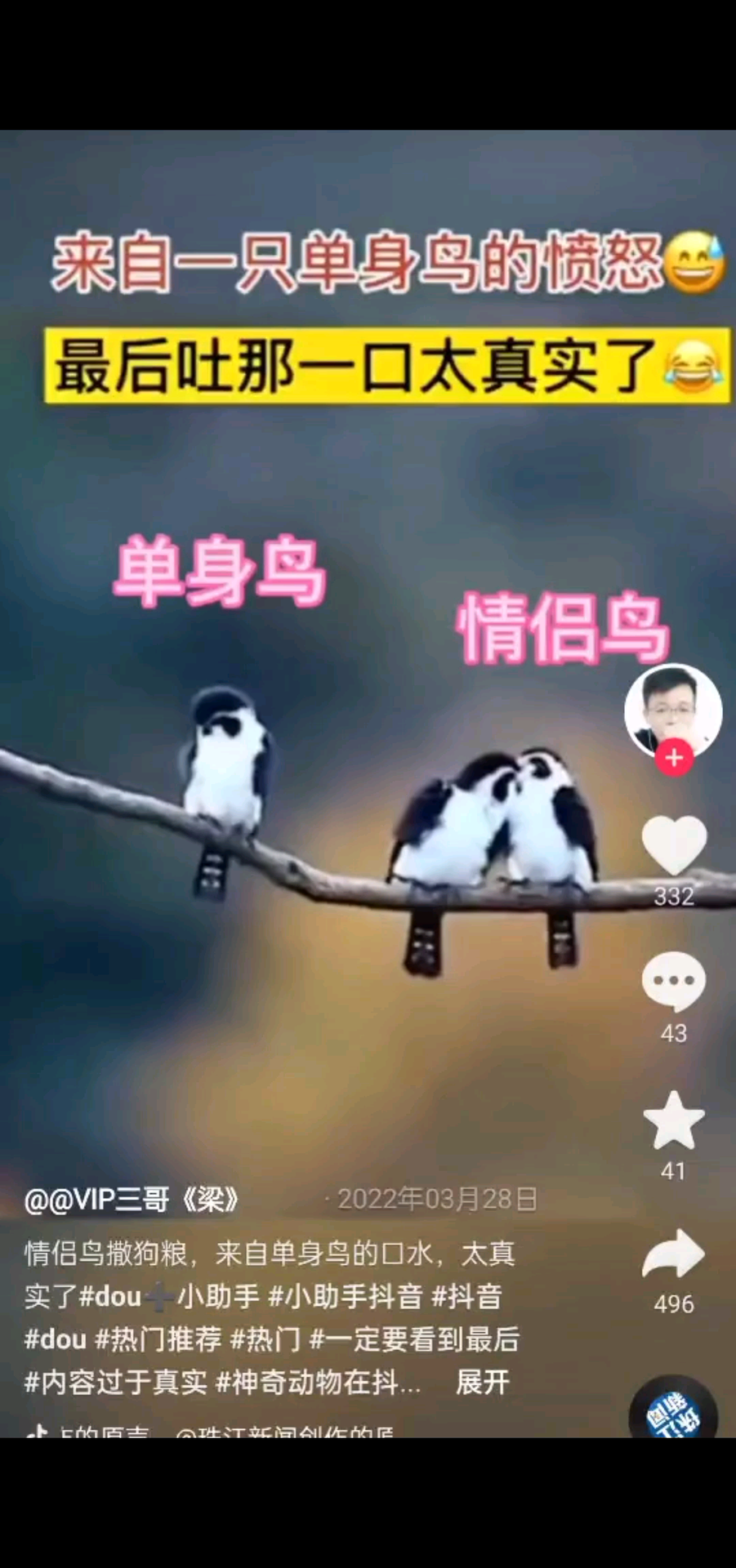 哈哈