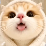 果冻🎵🎵🎵