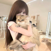 小蛋挞休的头像