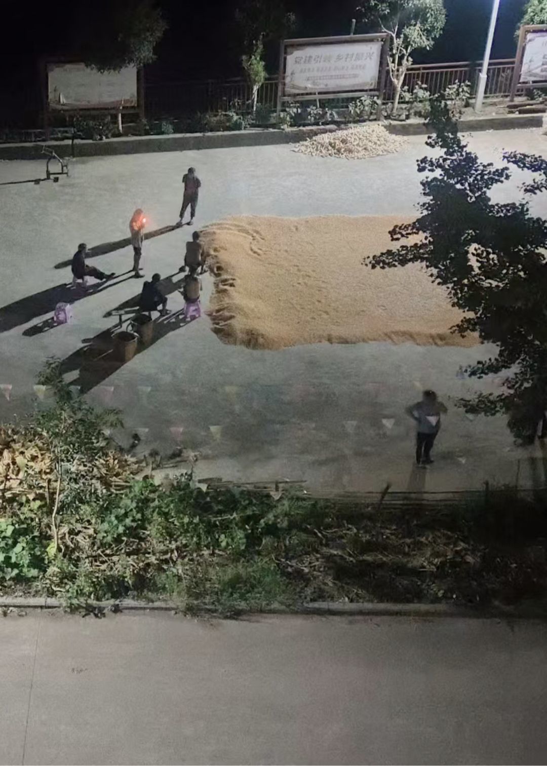 枫林琬🦋13579的图片