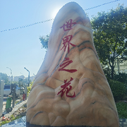 一号伯爵