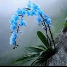 GUIZHOU