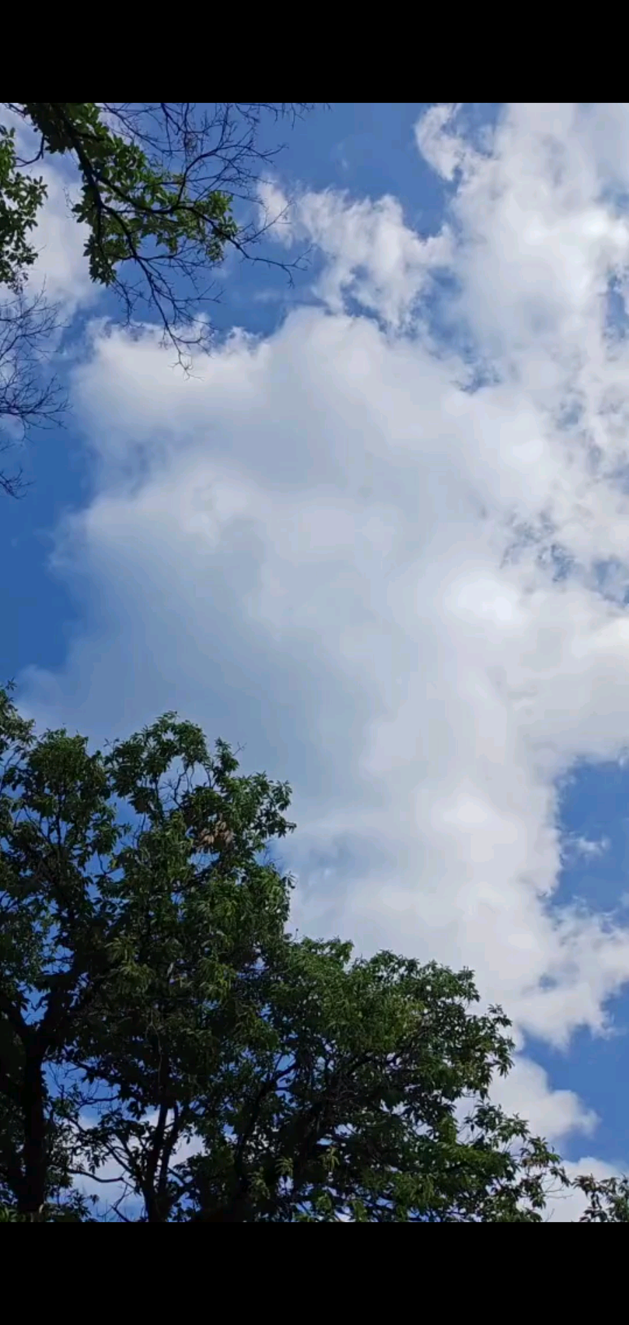 早上和晚上的天空，早