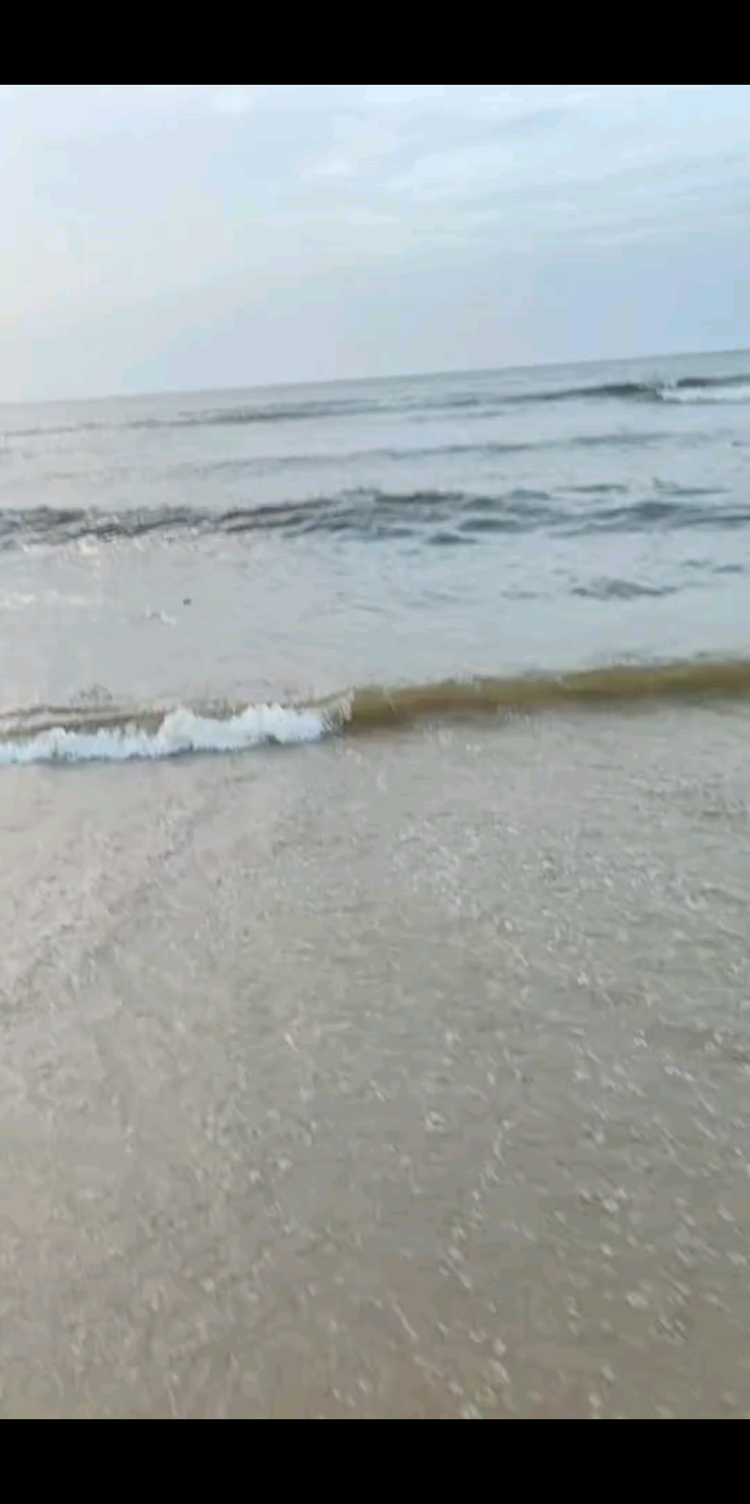 潮起潮落间，岁月悄然