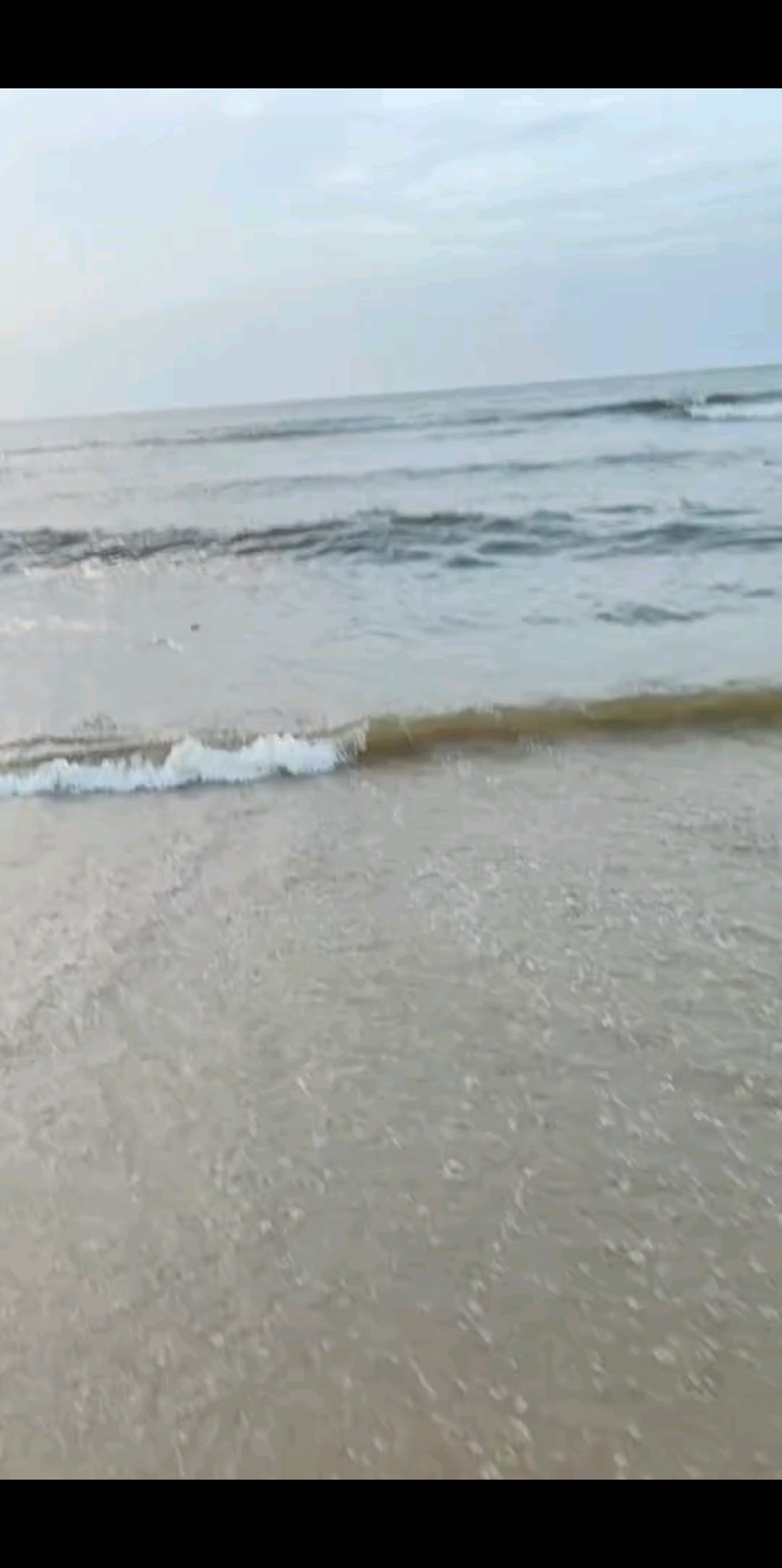 潮起潮落间，岁月悄然