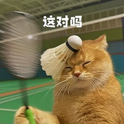 悟天道踏红尘