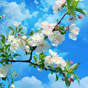 ♻️孙悟空🎤