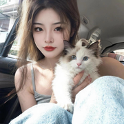 粥粥回来啦