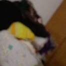 赵君oh