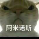 30dhjkmpsx的头像