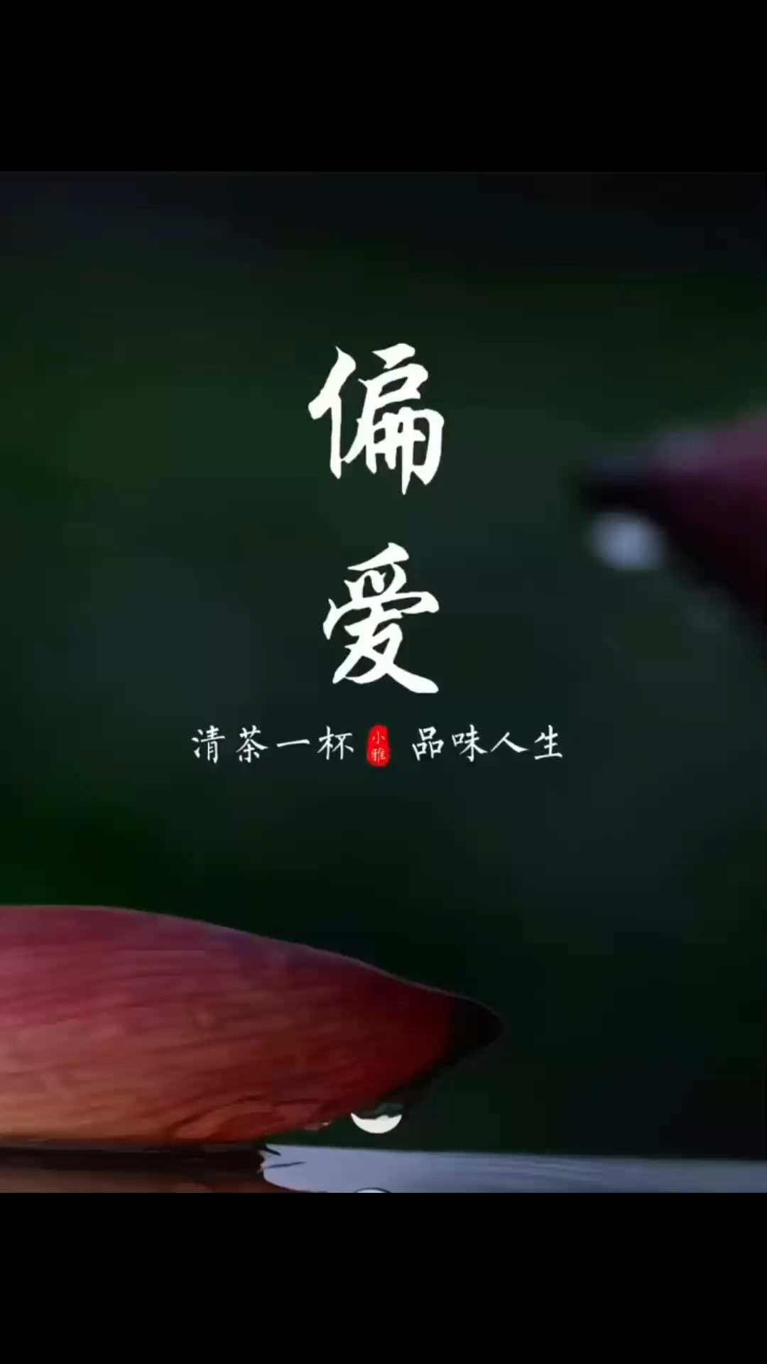 宠辱不惊，闲看庭前花