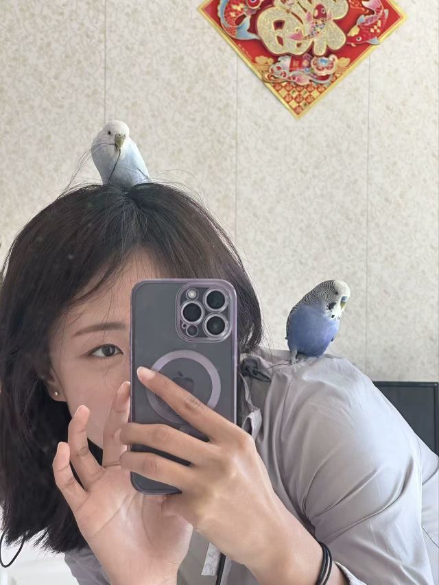 风停在你发梢的图片