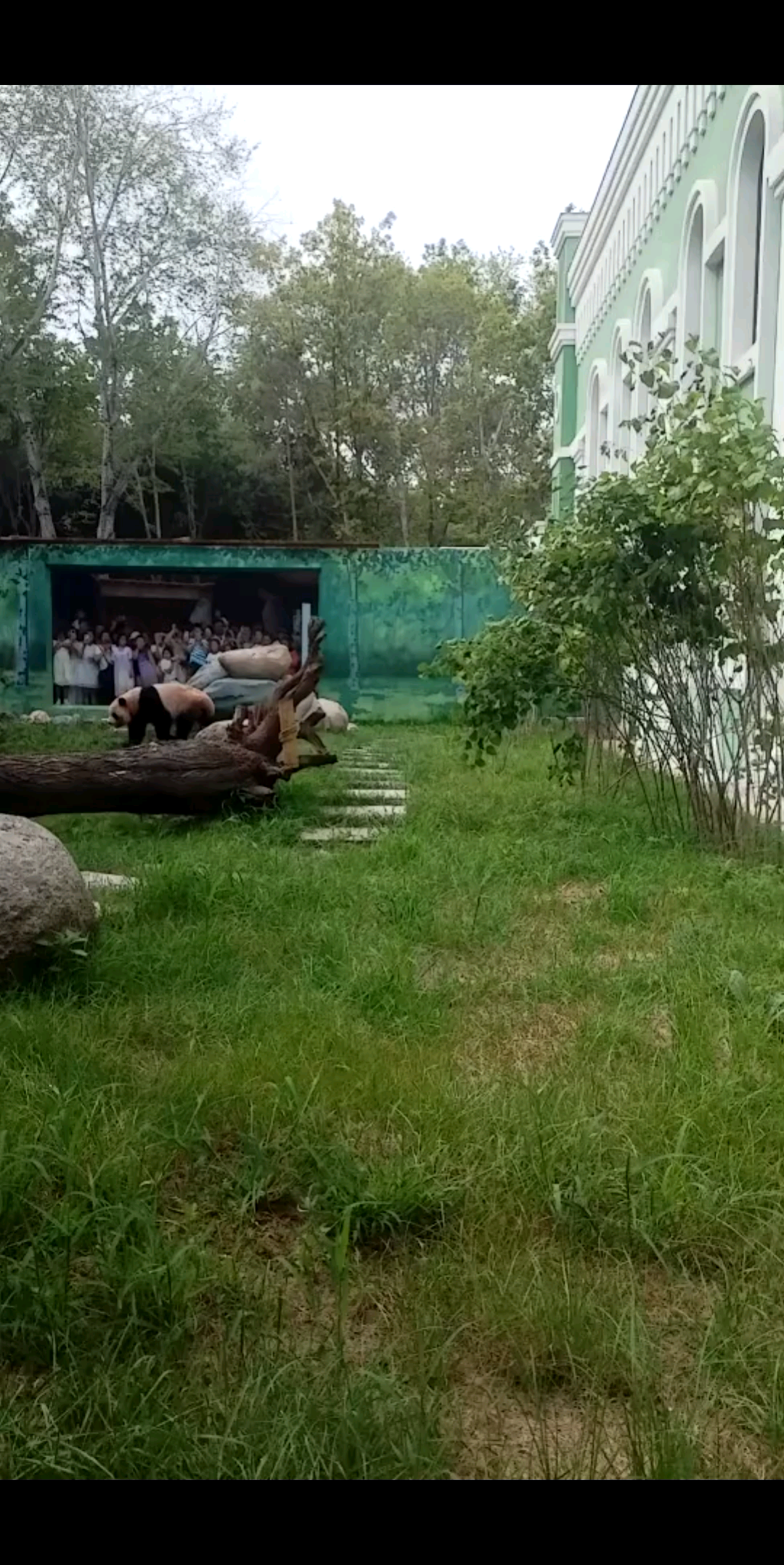 太阳岛之行