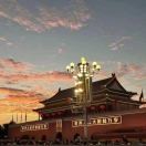 胖霸爸.
