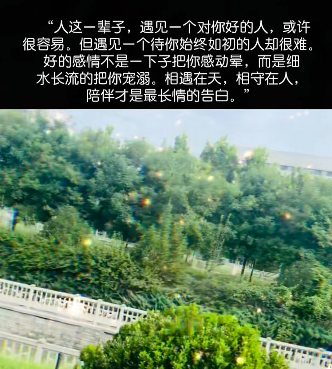 安然4号生日主播图片
