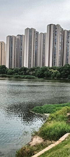 傲世_天下主播照片