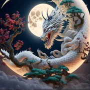 新加坡俊俊的头像
