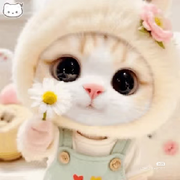 果冻🎵爱听歌