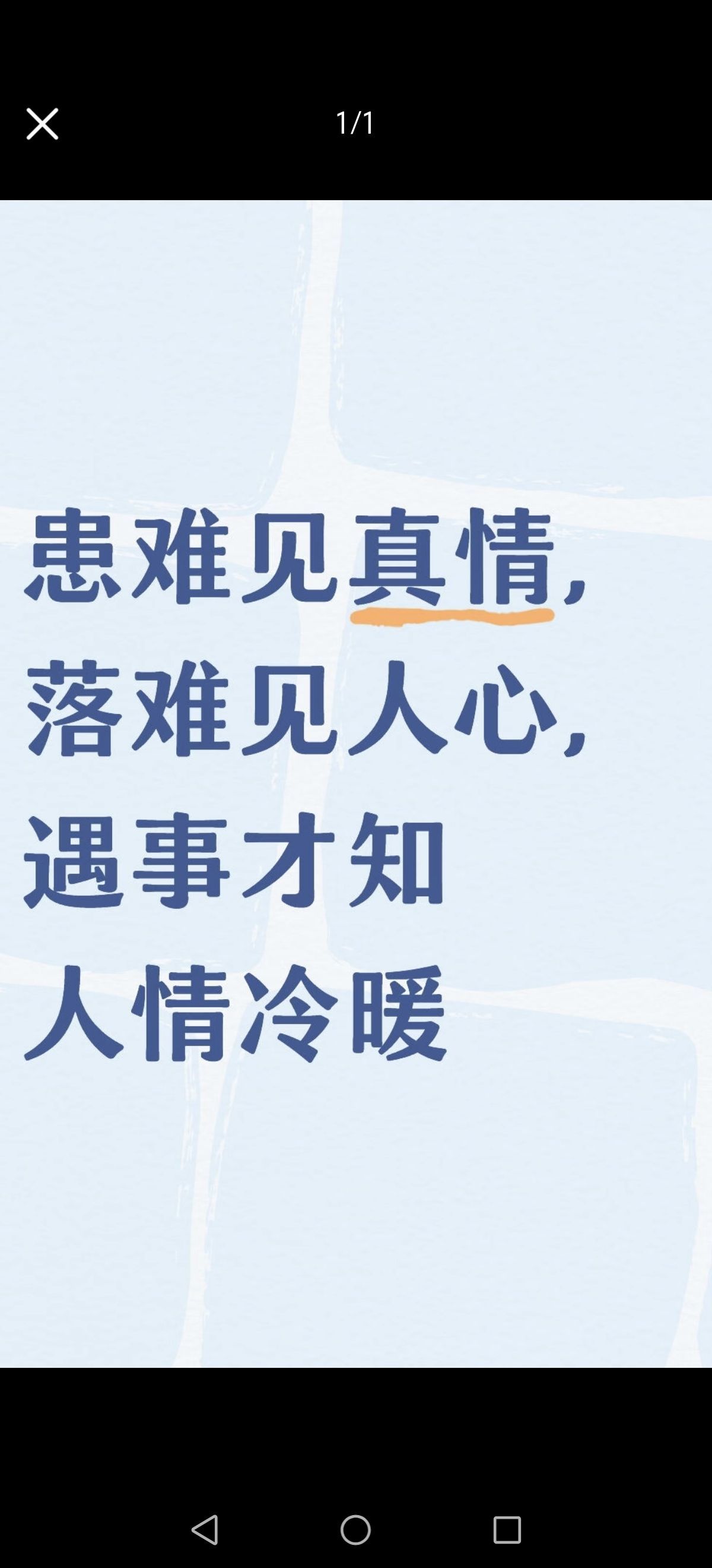 疯小鸭🍑愿有知心人的图片