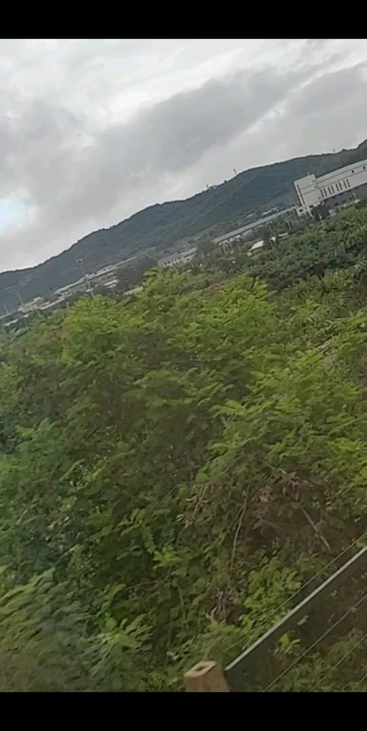 浪漫的七夕都在梦中在