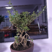 小凯哥720的头像