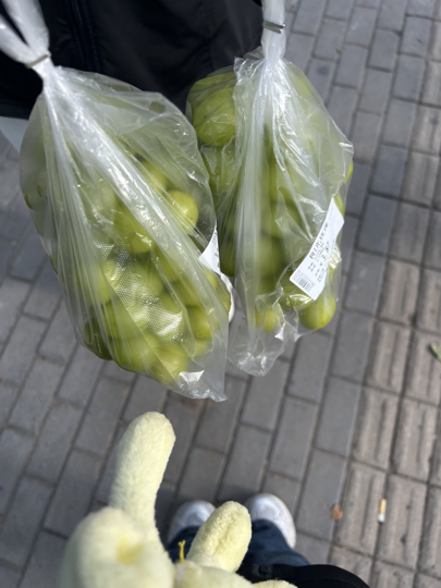 新人~玉米海报