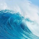 大海t$m的头像
