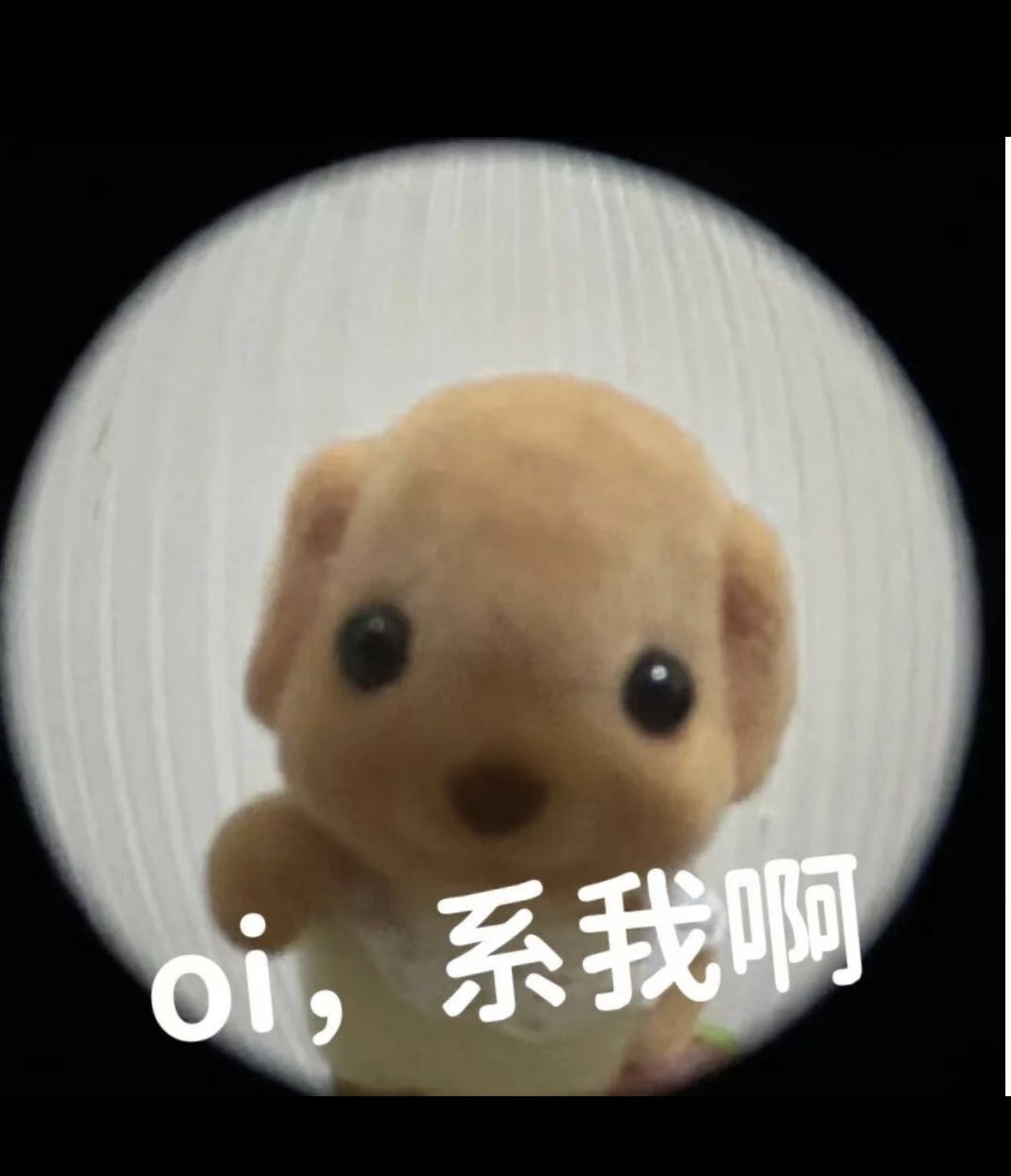 小缇娜的图片