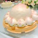 黄抱罗恩