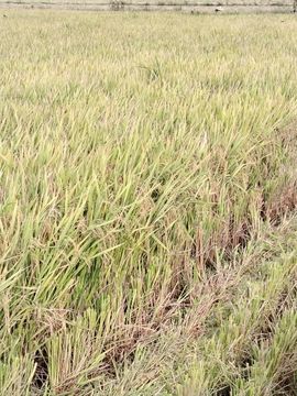 策马奔腾o6主播照片