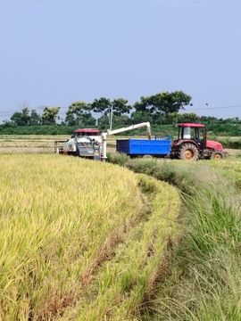 策马奔腾o6主播照片